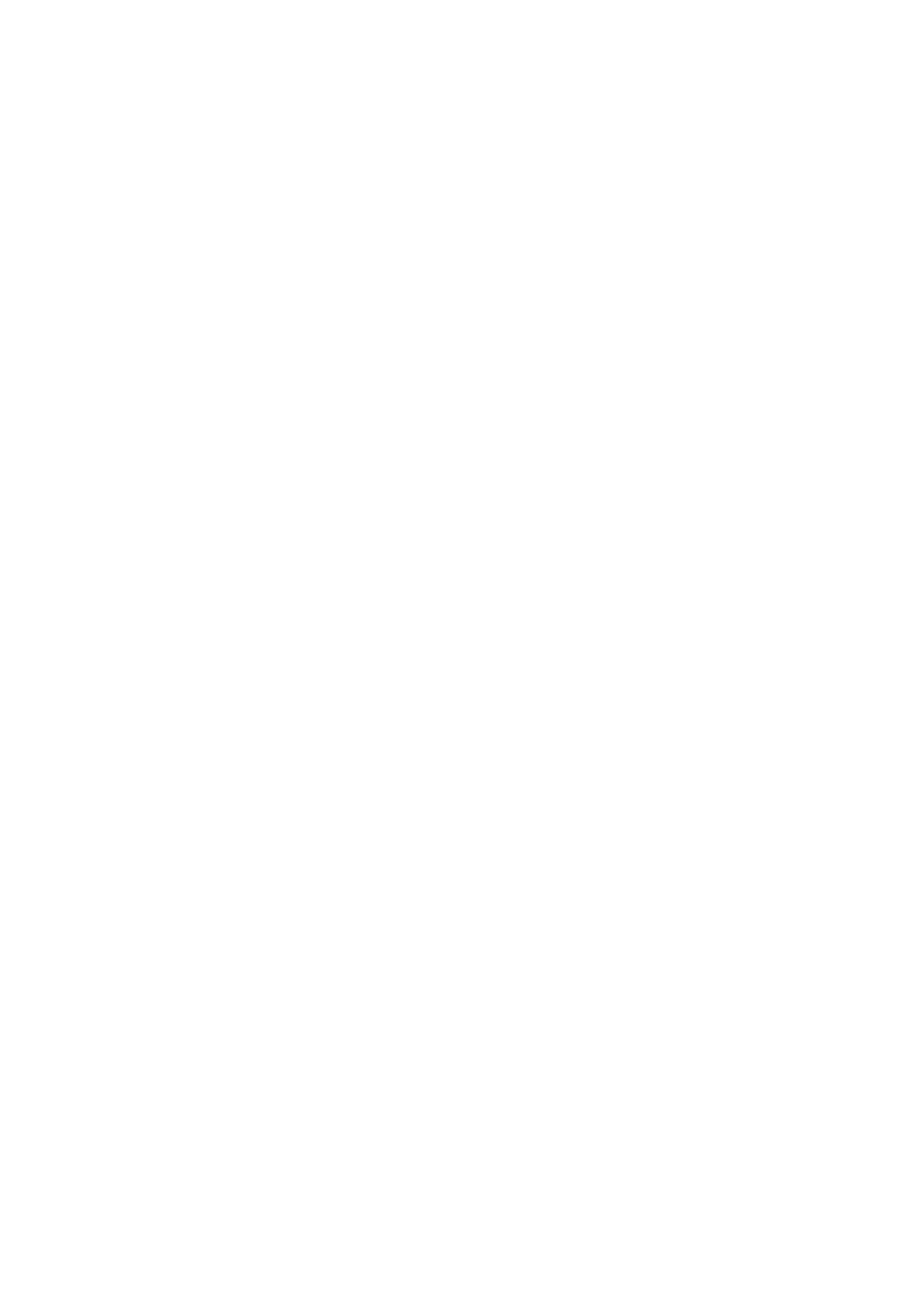 RDM Media Inc.